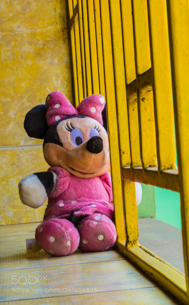 Nikon D5200 sample photo. Minnie photography