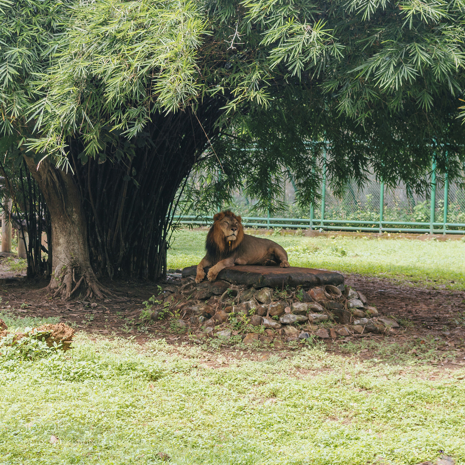 Nikon D3200 sample photo. Majestic.jpg photography