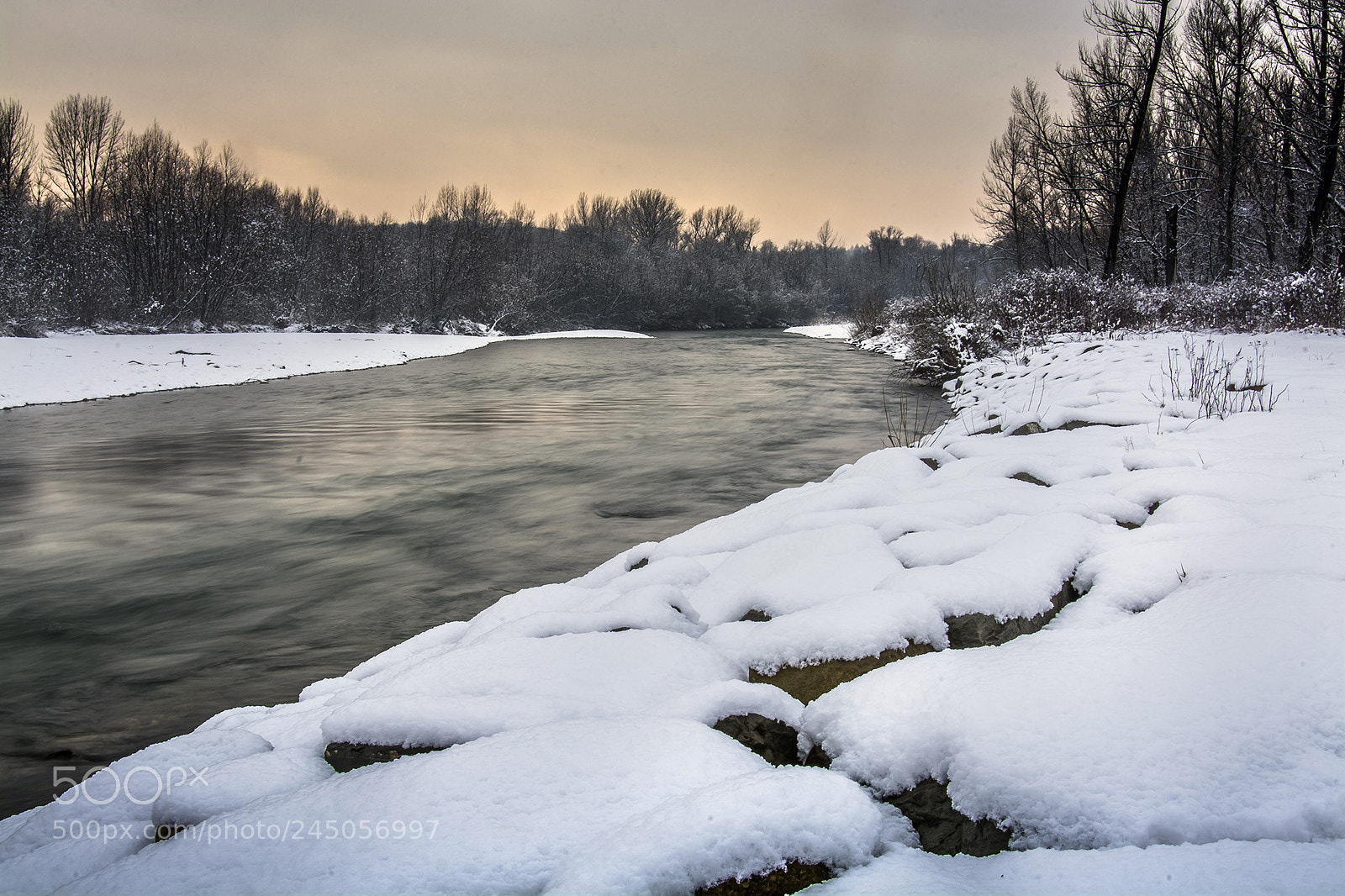 Nikon D7100 sample photo. Frozen photography