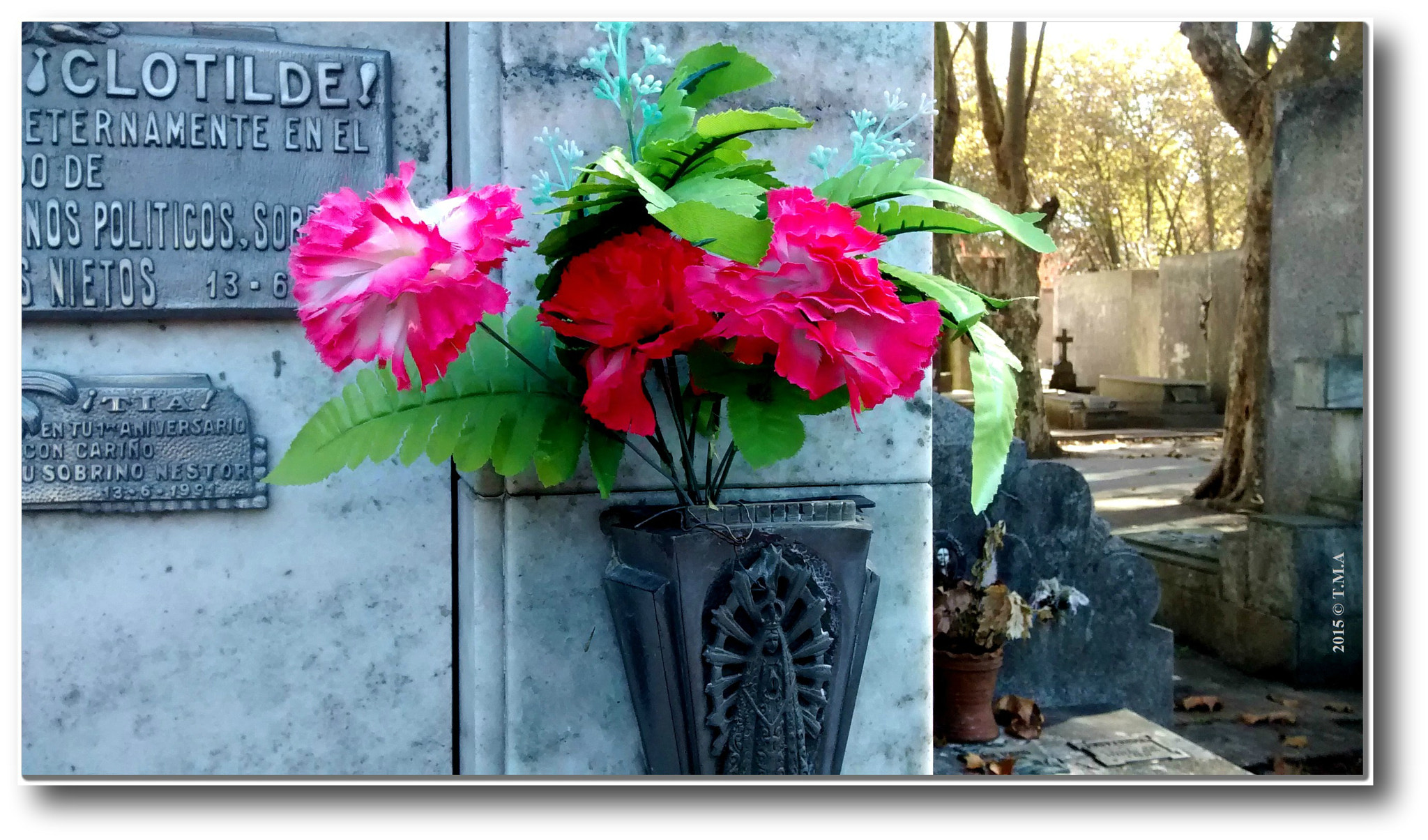 Motorola XT1032 sample photo. T.m.a. - en el olvido, - "memoria". 2015. la plata, bs. as., argentina photography