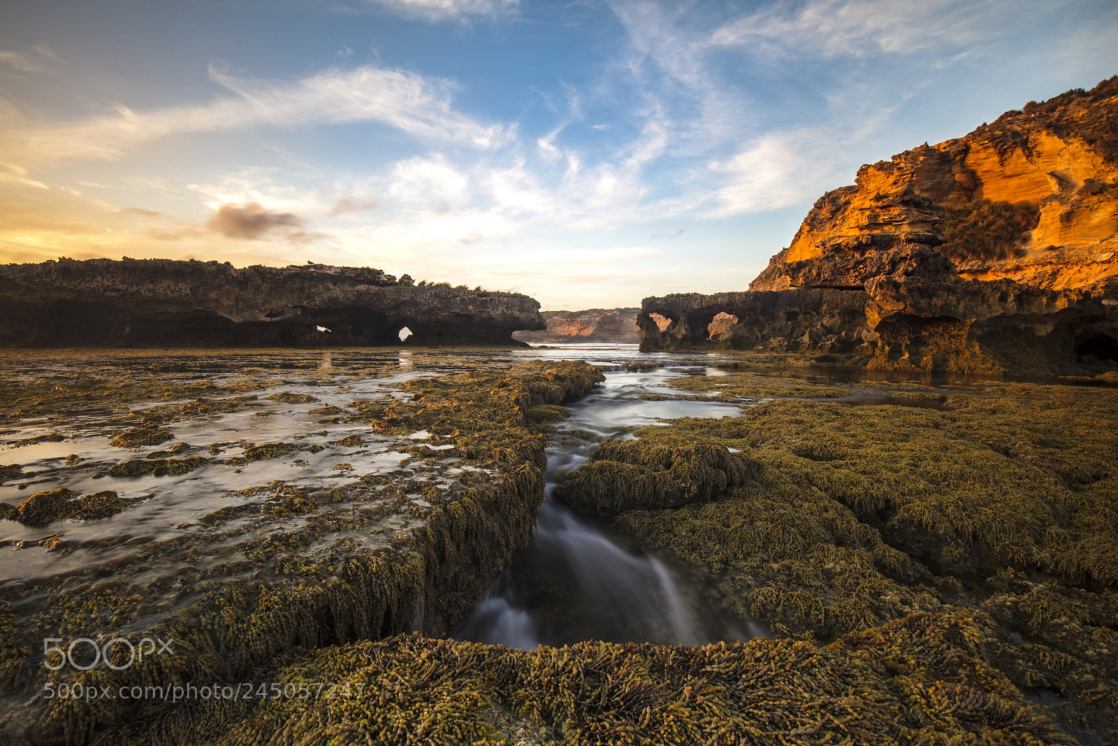 Canon EOS 5DS R sample photo. Untitled photography