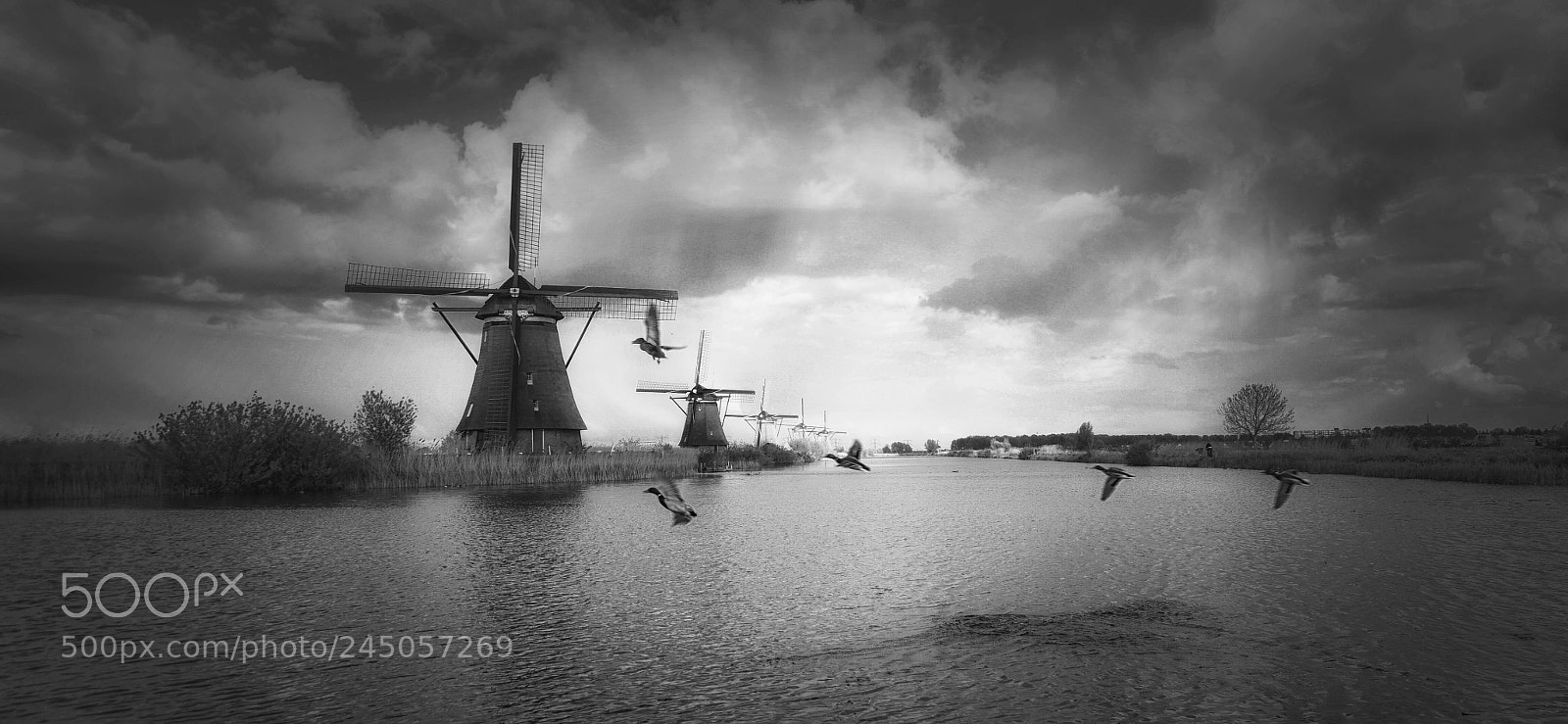 Samsung NX1 sample photo. So dutch photography