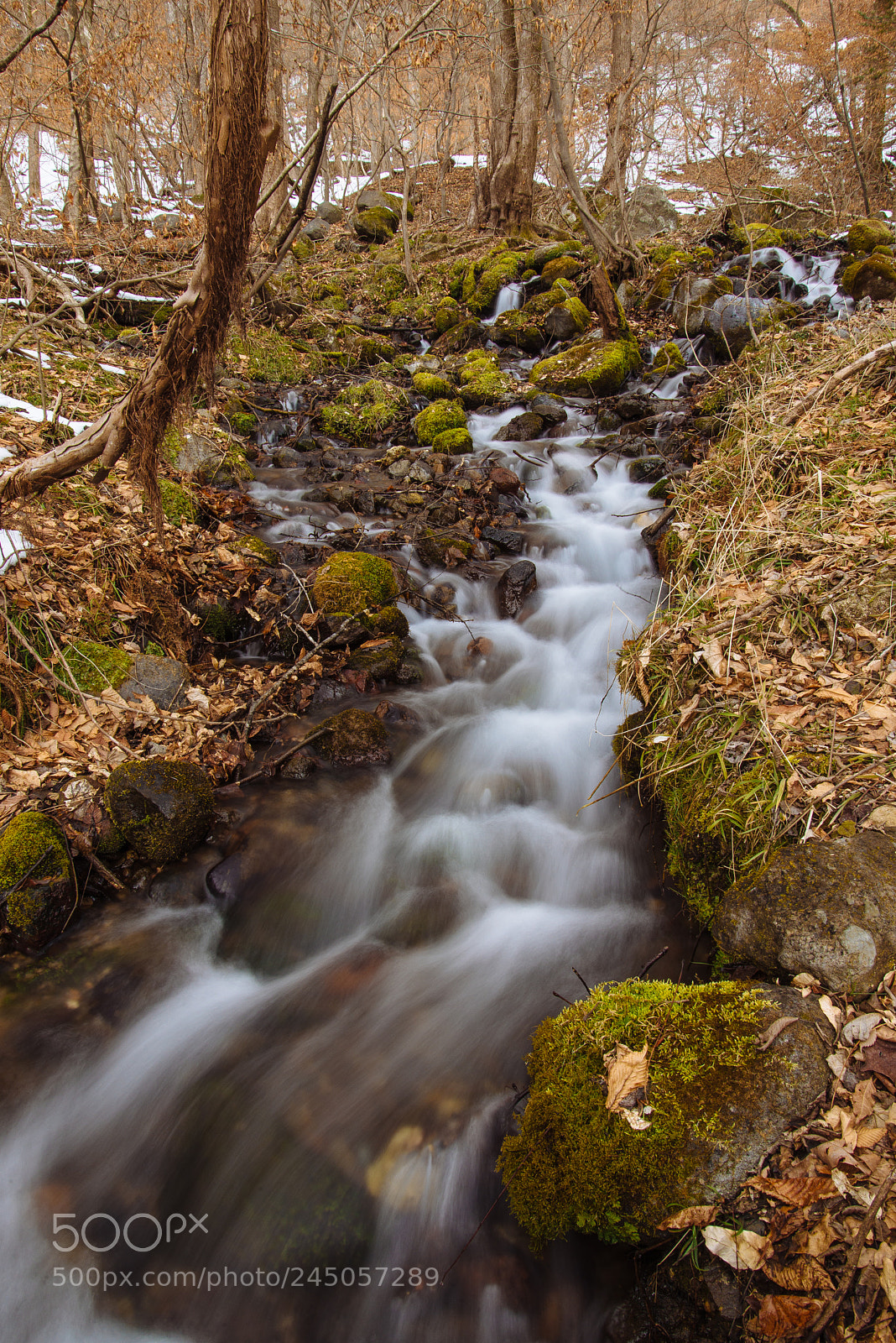 Nikon D610 sample photo. Shoujinzawa ：尚仁沢湧水 photography