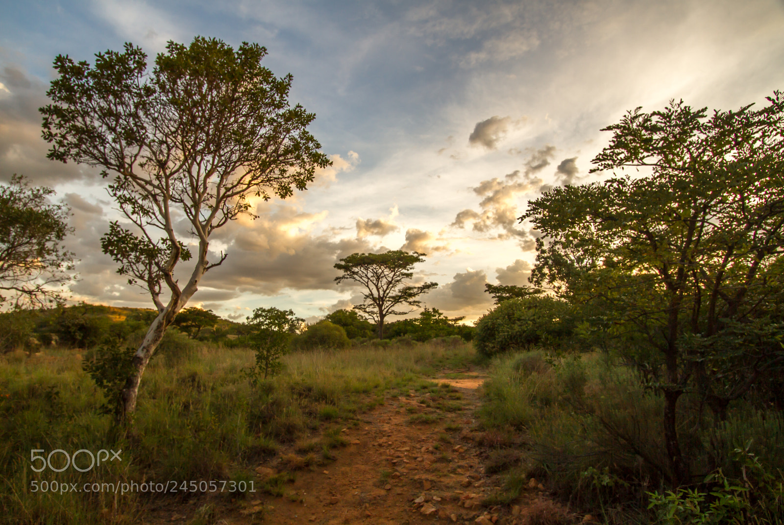 Canon EOS 7D sample photo. African landscape photography