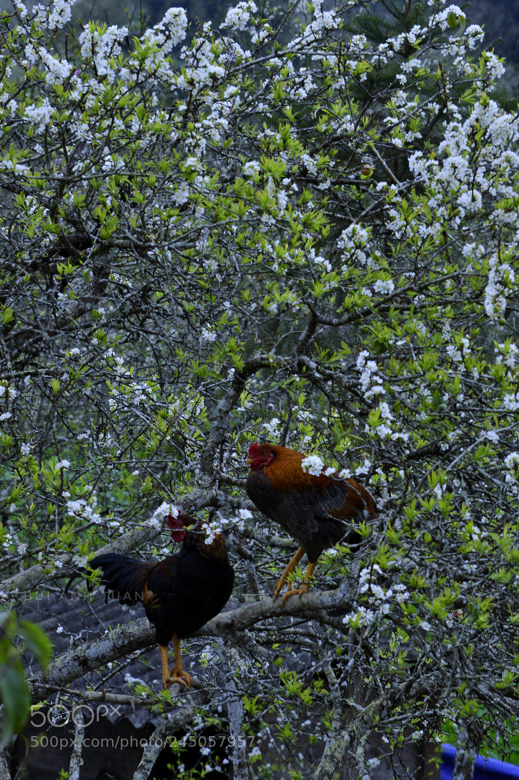Nikon D3200 sample photo. Untitled photography