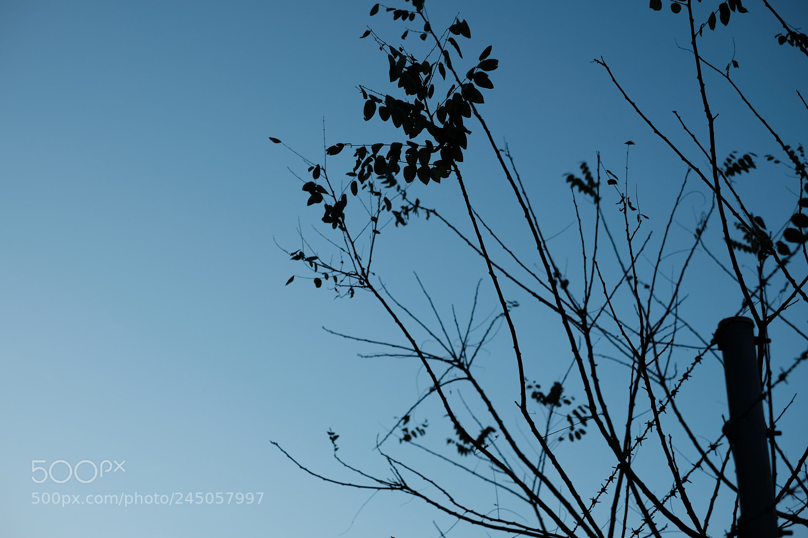 Fujifilm X-T2 sample photo. Untitled photography