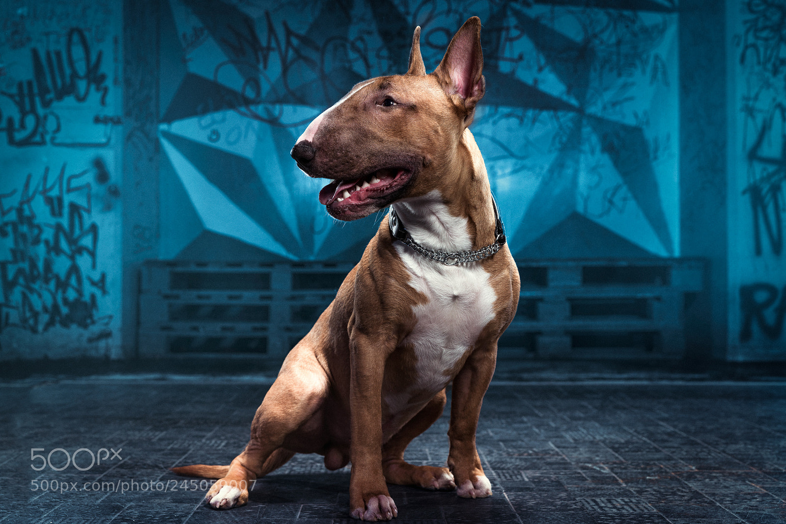 Nikon D610 sample photo. Stormpoopers photography