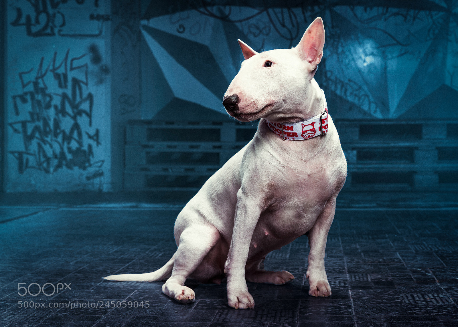 Nikon D610 sample photo. Stormpoopers photography