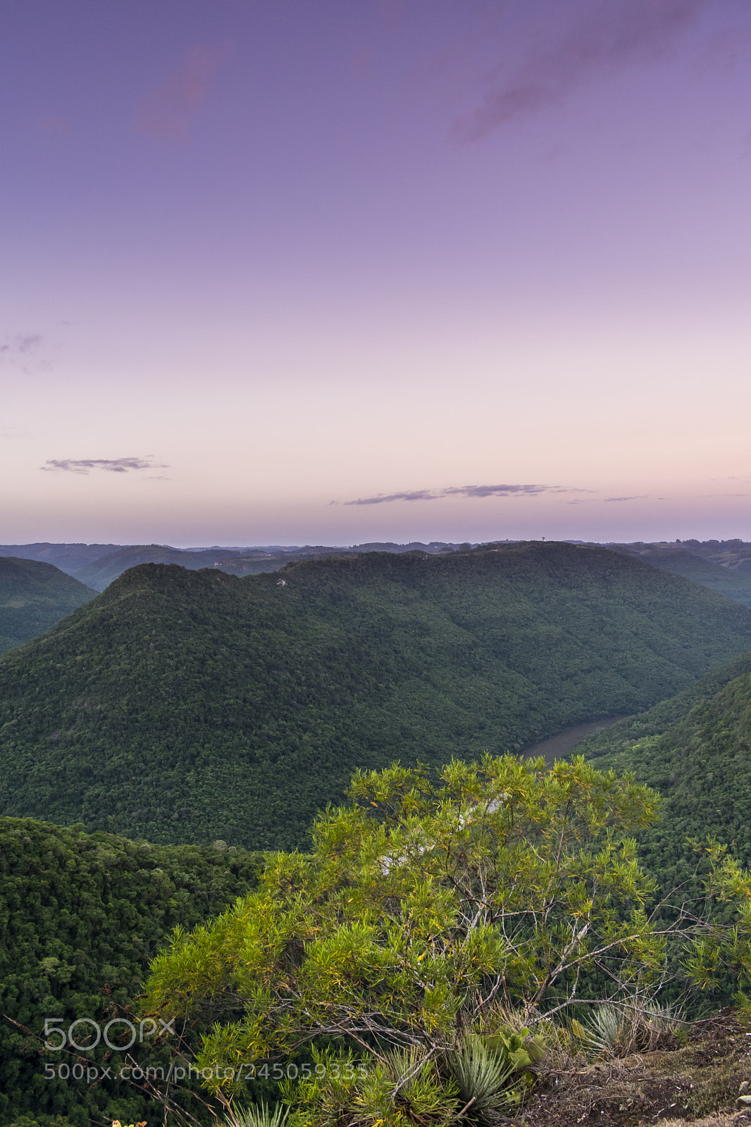 Nikon D3400 sample photo. Brazilian countryside photography