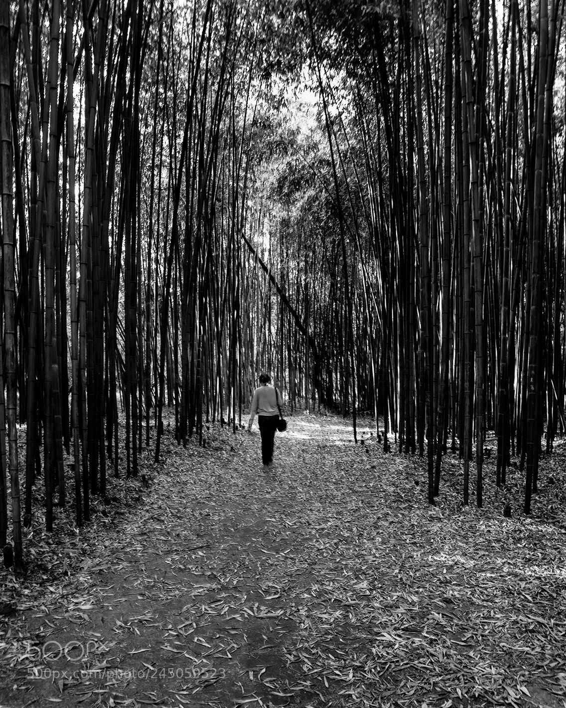 Leica Q (Typ 116) sample photo. Só photography