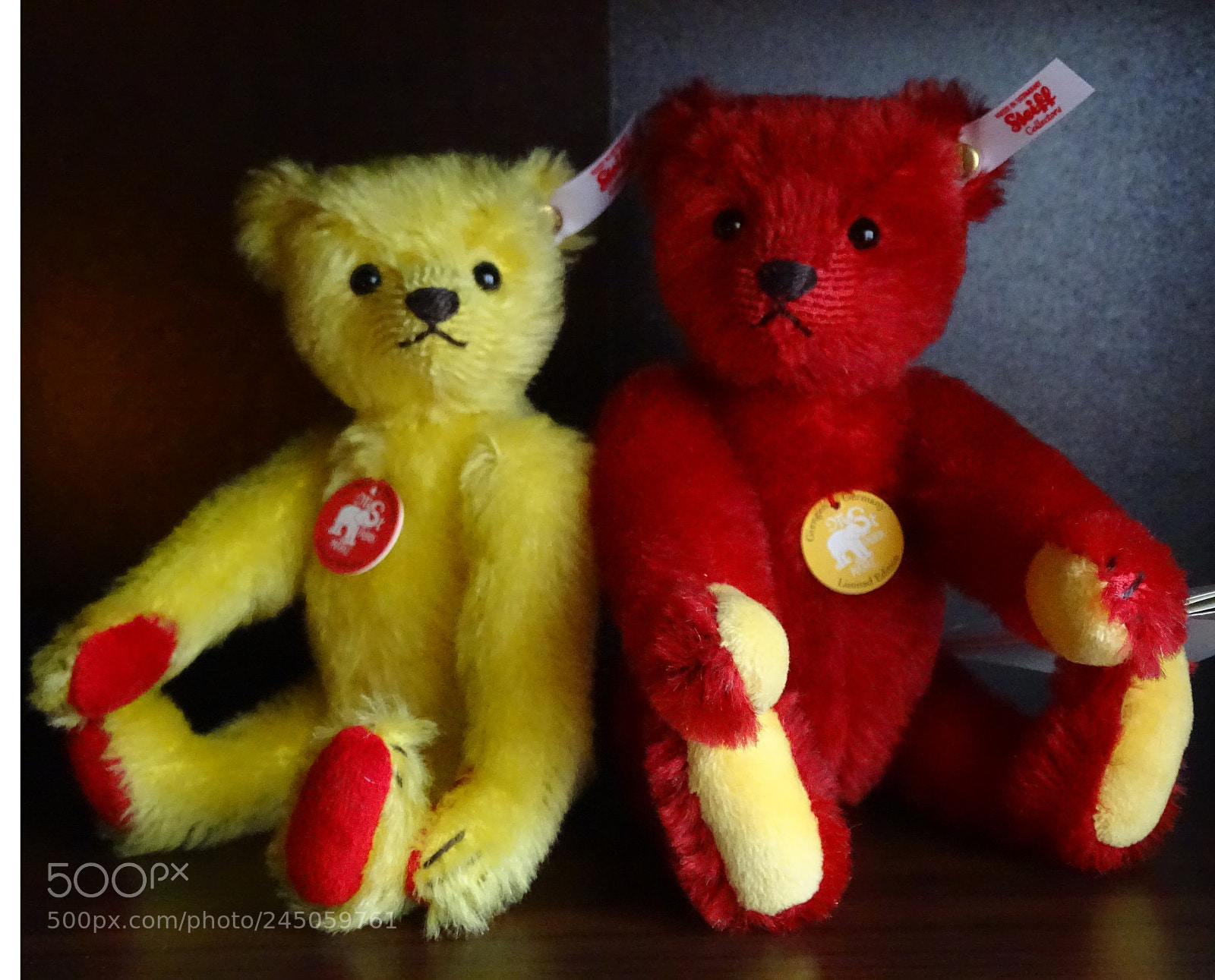 Sony Cyber-shot DSC-HX400V sample photo. Yellow and red photography