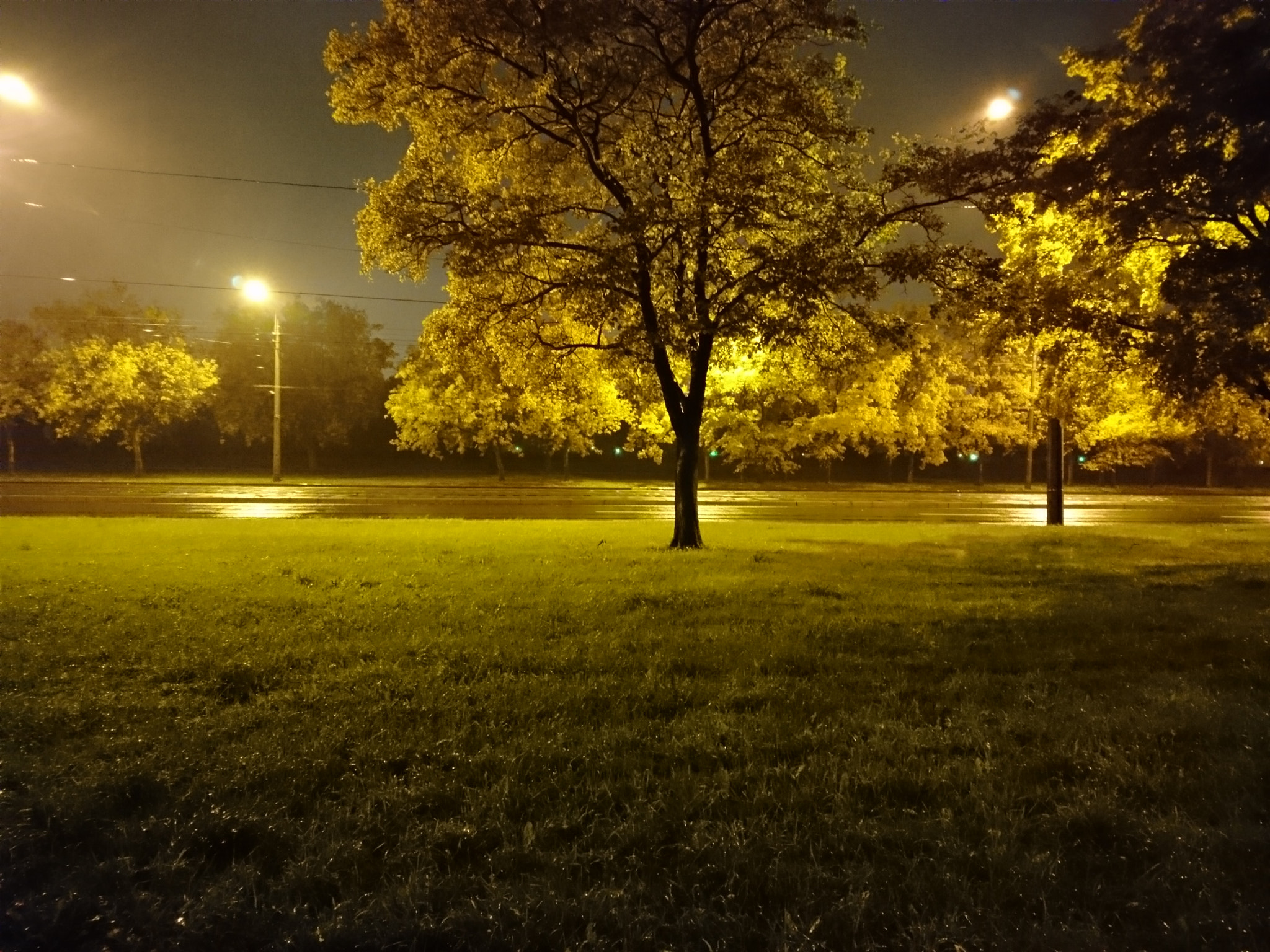 Sony Xperia X Compact sample photo
