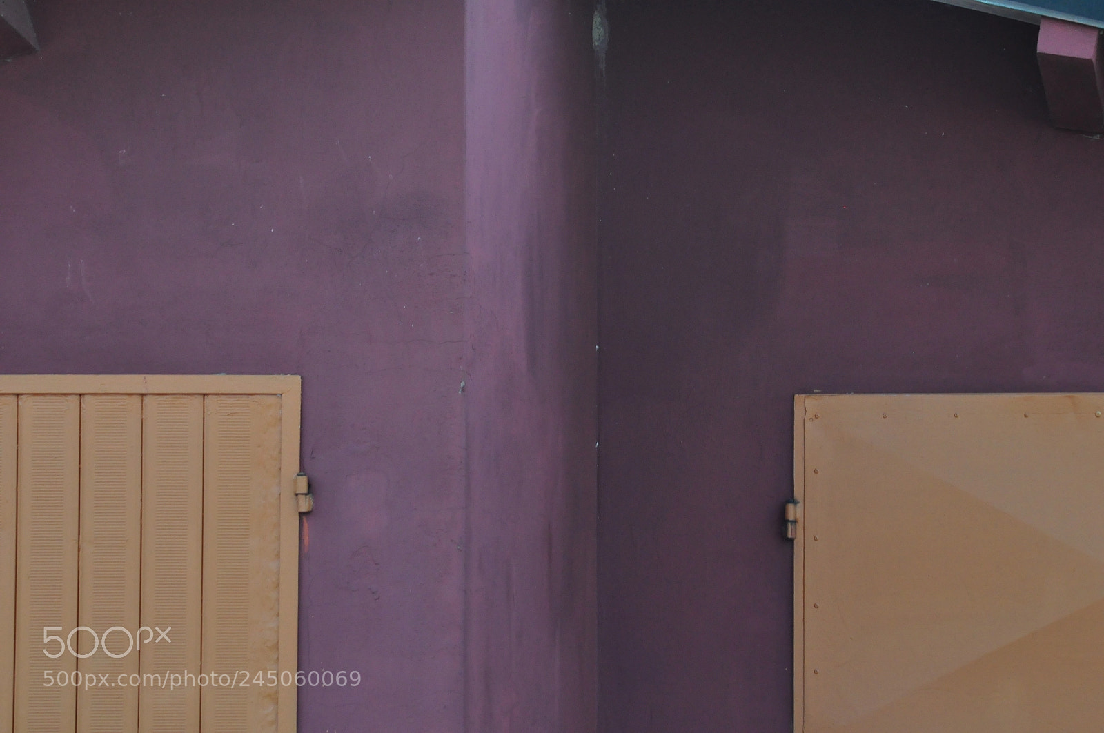 Nikon D90 sample photo. Purple house photography