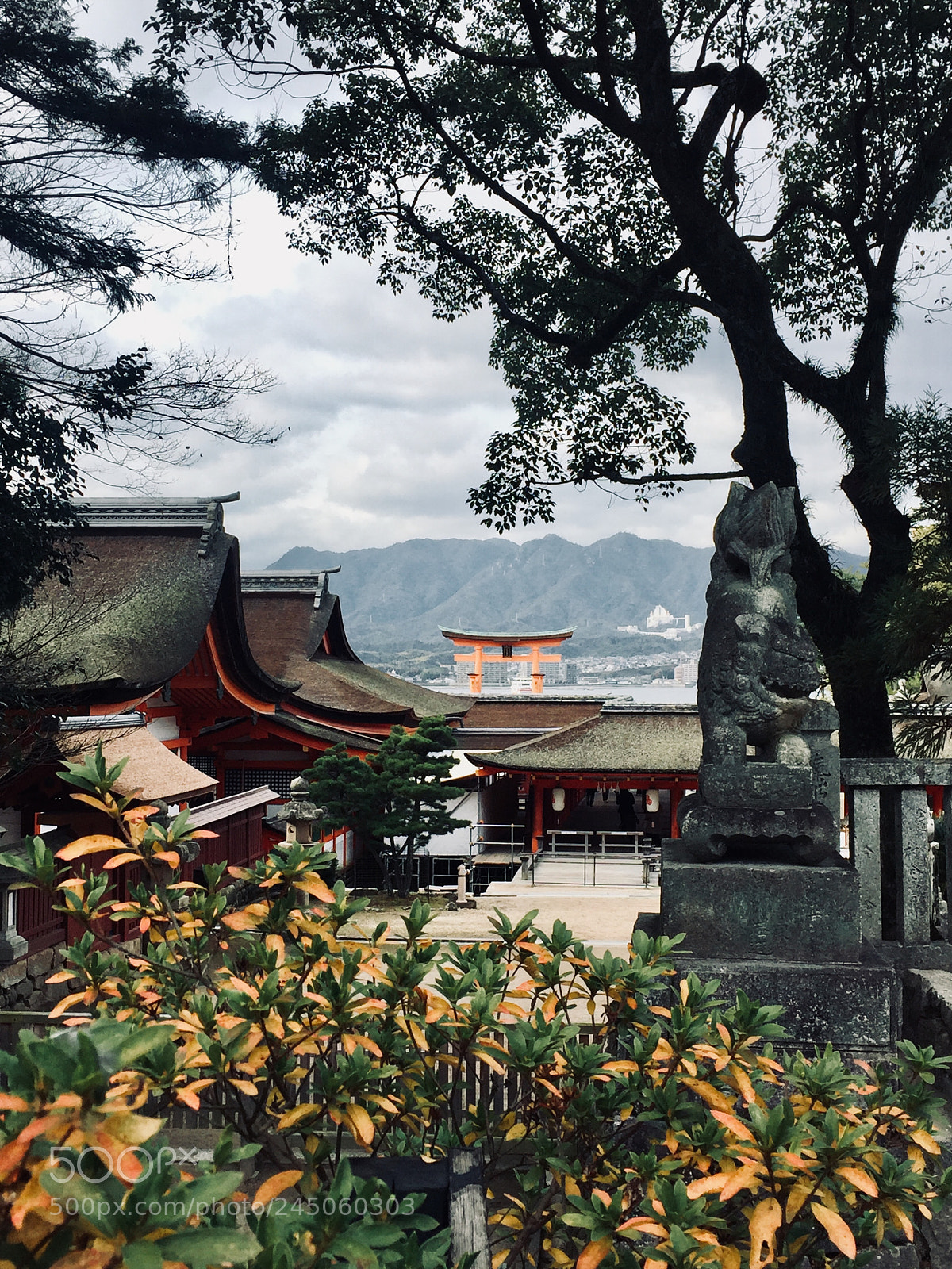 Apple iPhone 6 sample photo. Miyajima, japan photography