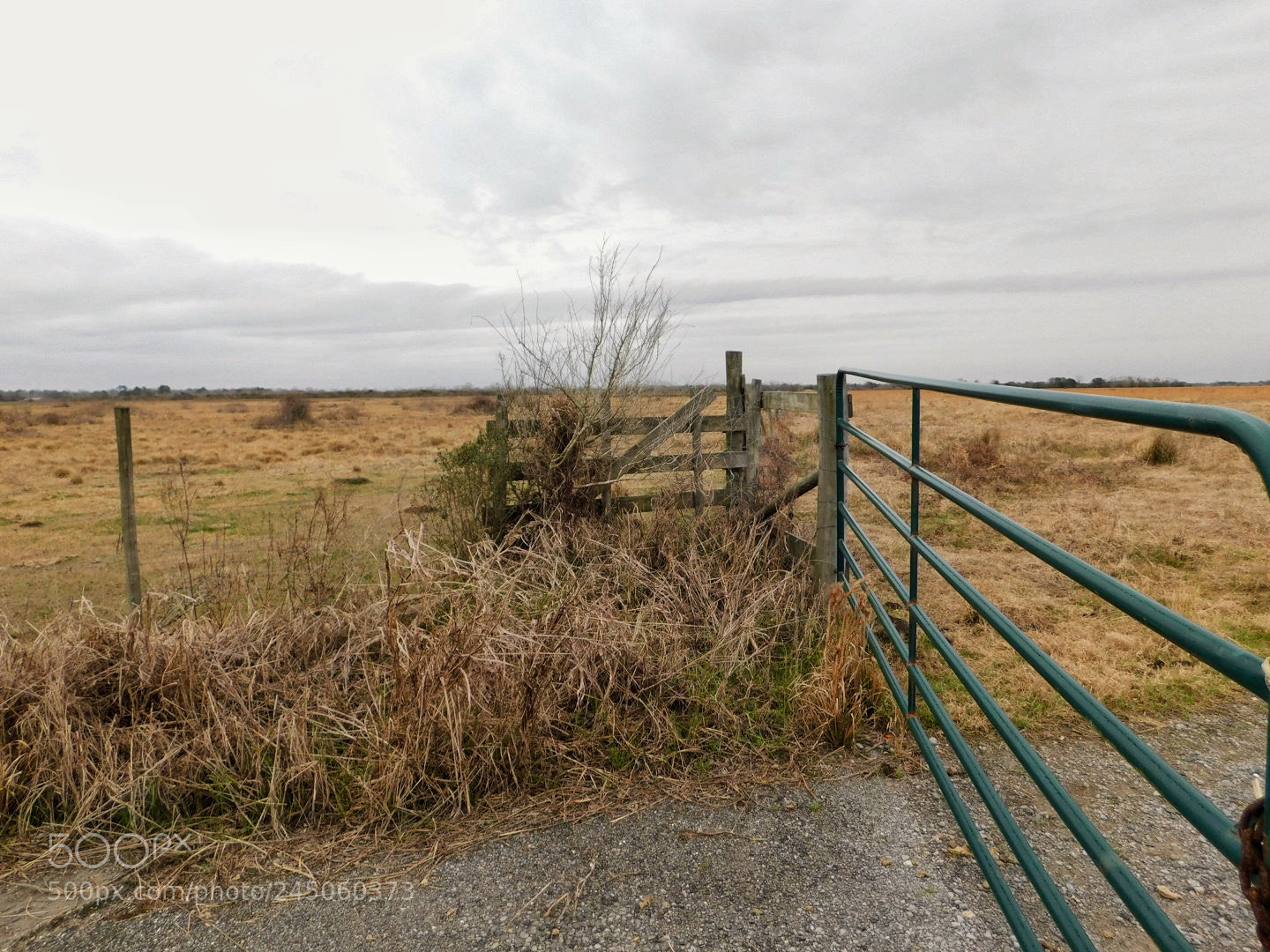 Nikon Coolpix B500 sample photo. Country fence and gate photography