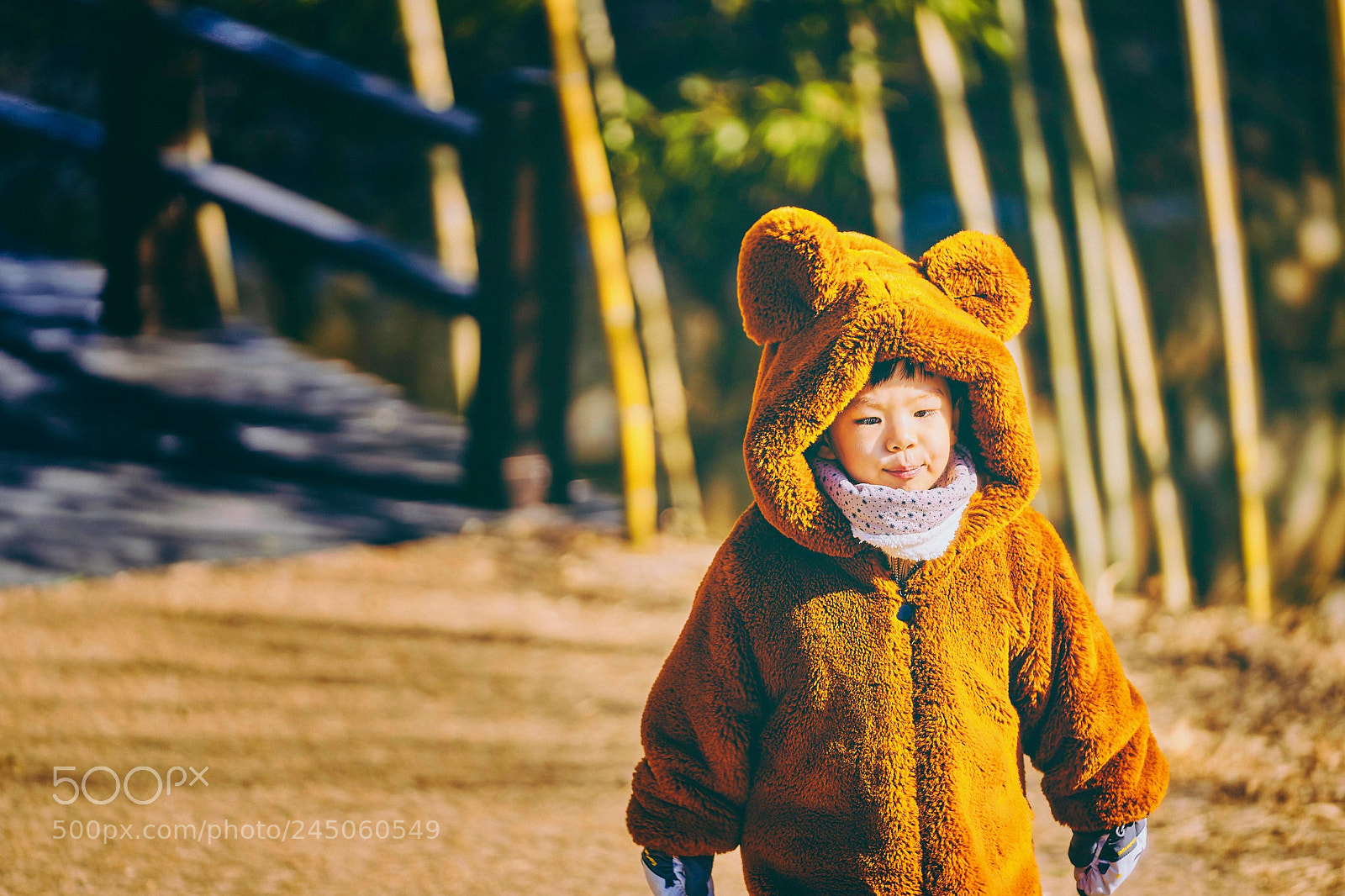 Sony a9 sample photo. My cute son in photography