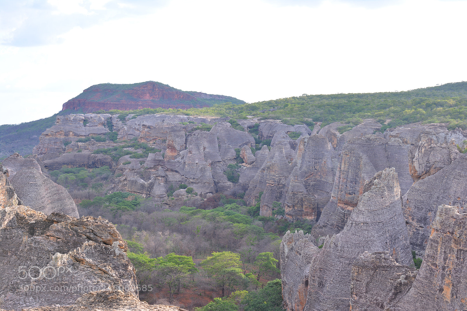 Nikon D7100 sample photo. Serra da capivara photography