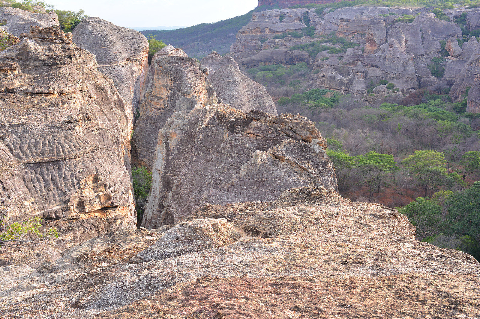 Nikon D7100 sample photo. Serra da capivara photography