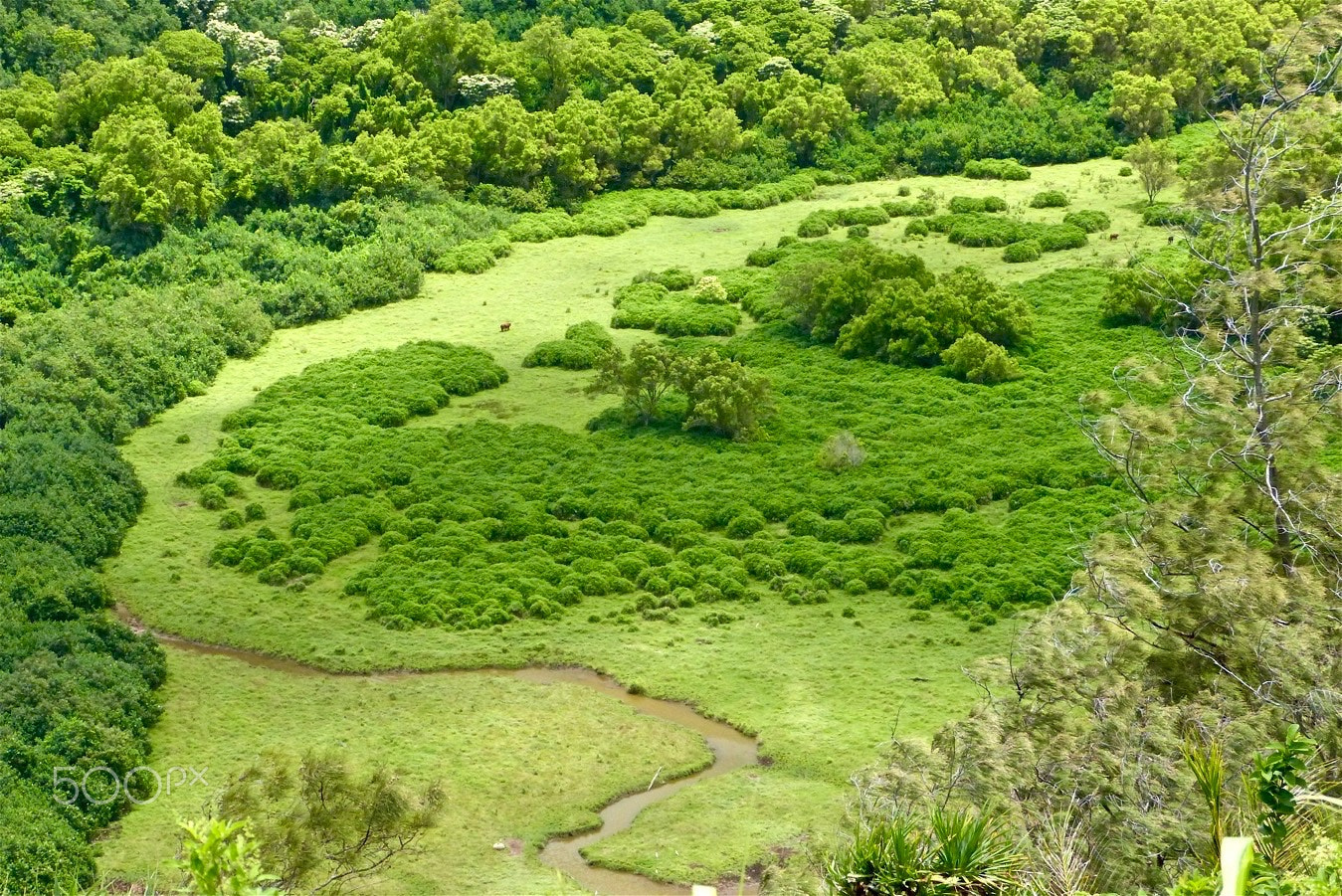 Panasonic Lumix DMC-FZ47 (Lumix DMC-FZ48) sample photo. Pololu valley overlook photography