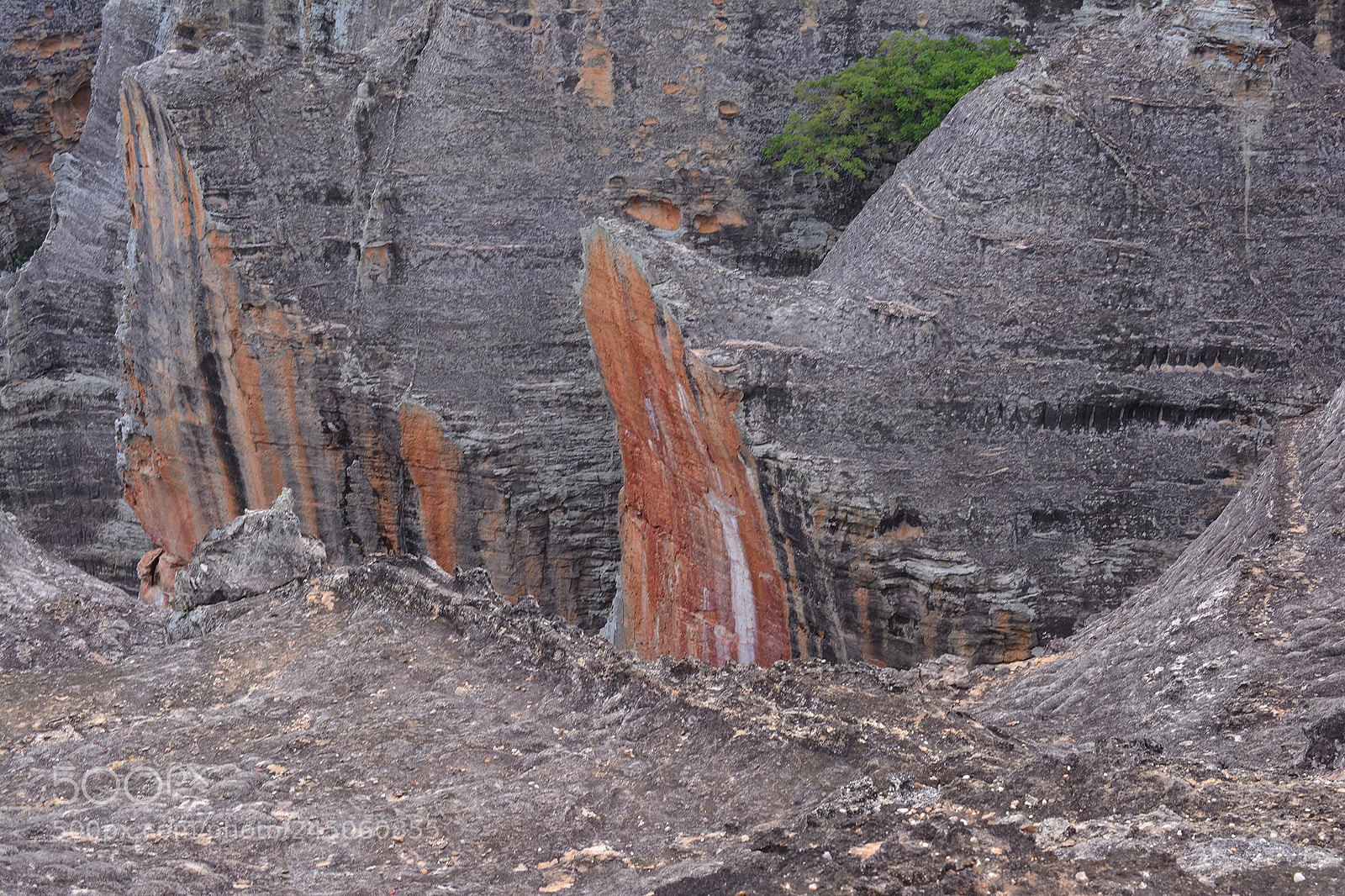 Nikon D7100 sample photo. Serra da capivara photography