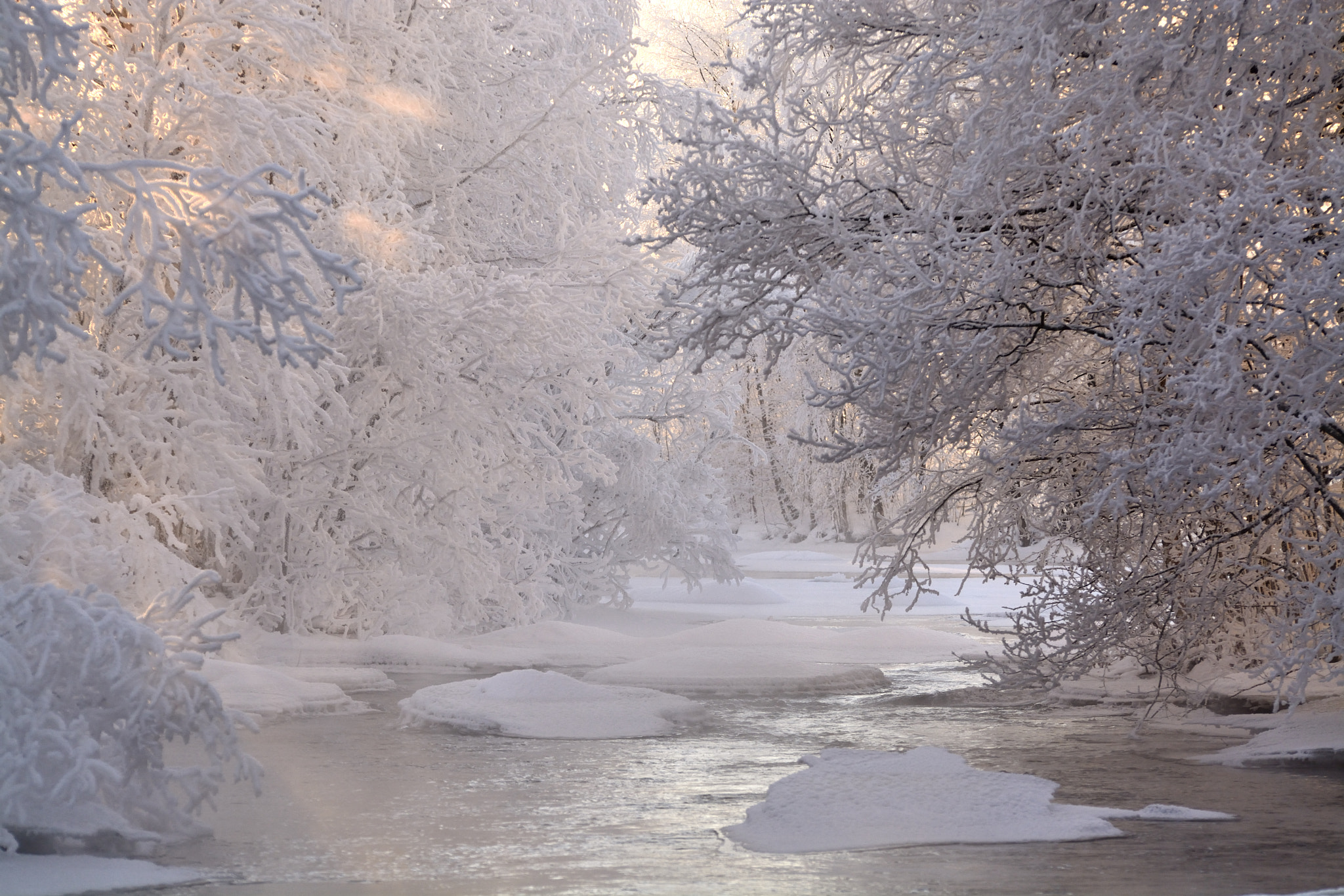 Nikon D7100 sample photo. Cold day photography