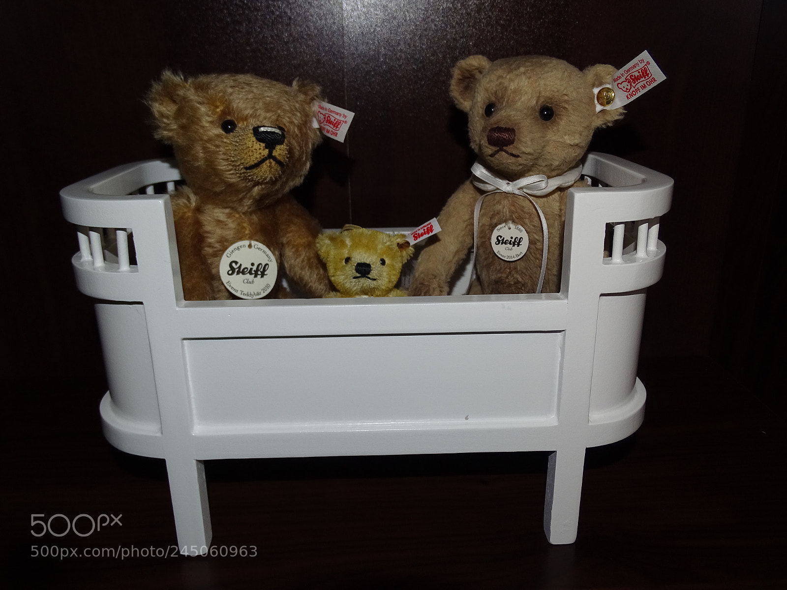 Sony Cyber-shot DSC-HX400V sample photo. Sleep well teddy's photography