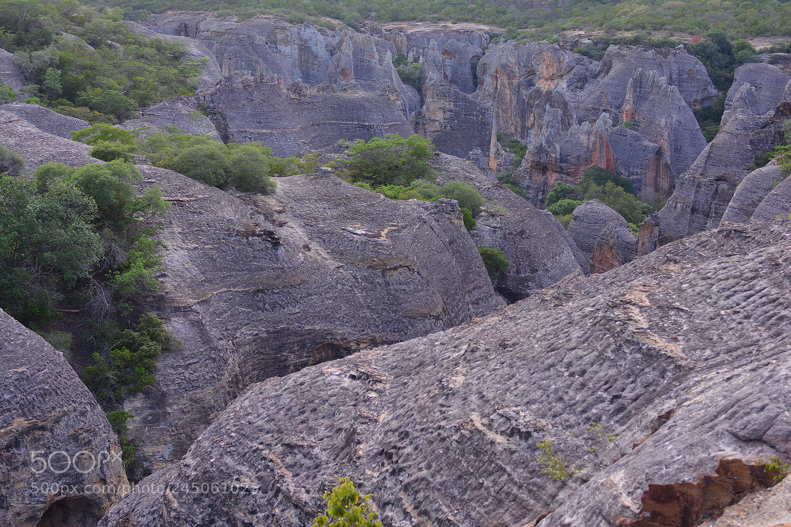 Nikon D7100 sample photo. Serra da capivara photography