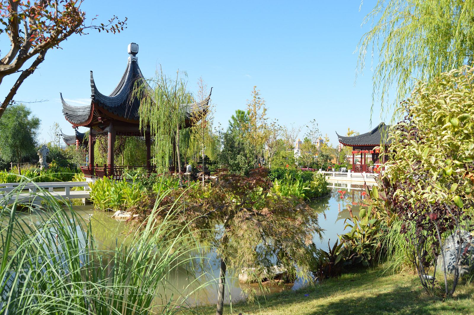 Nikon D3200 sample photo. Dsc photography