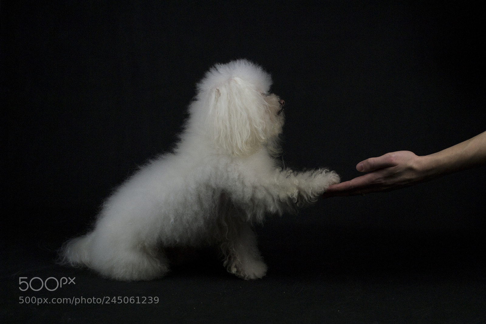 Nikon D3100 sample photo. Hand in hand photography
