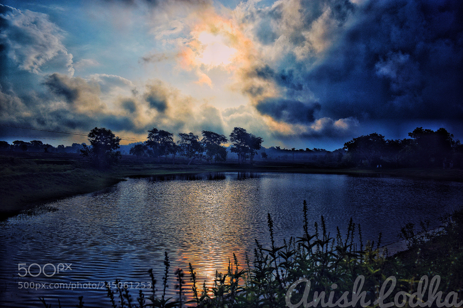 Nikon D5600 sample photo. Untitled photography
