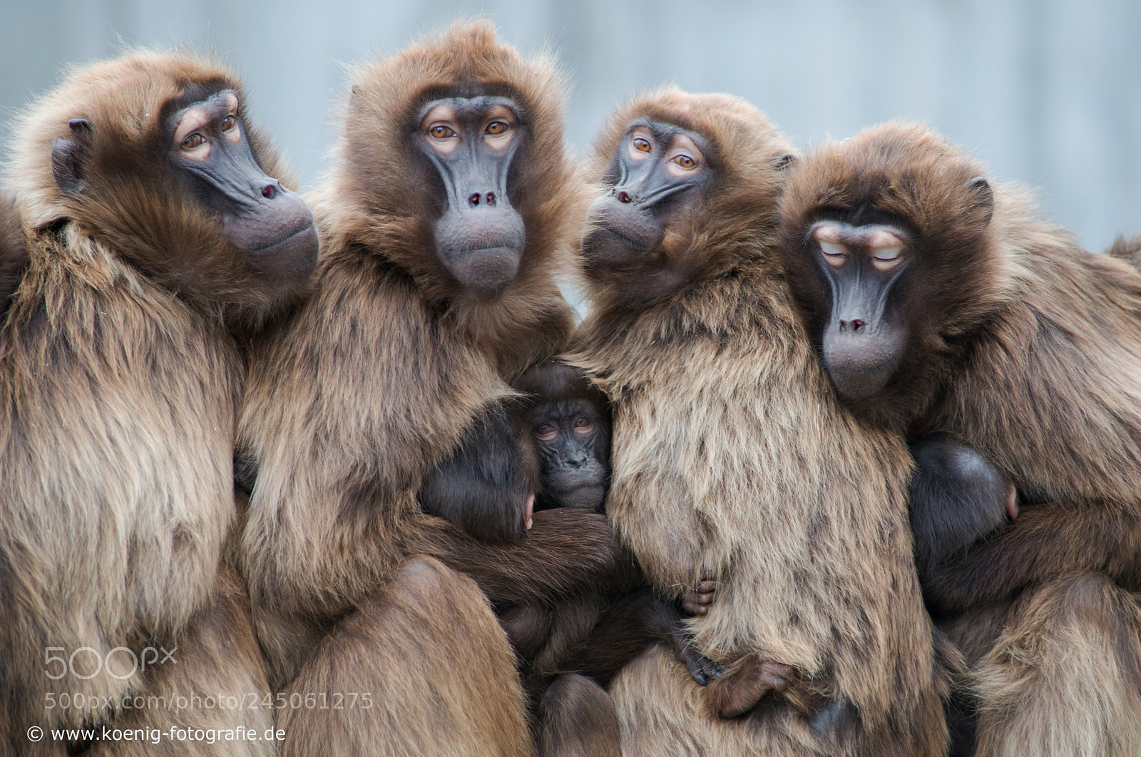 Nikon D800 sample photo. In the protection of photography