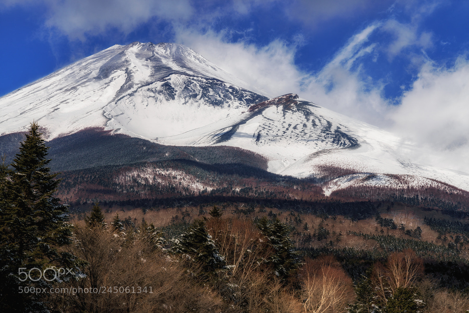 Sony a7R III sample photo. Mt.fuji covered with snow photography