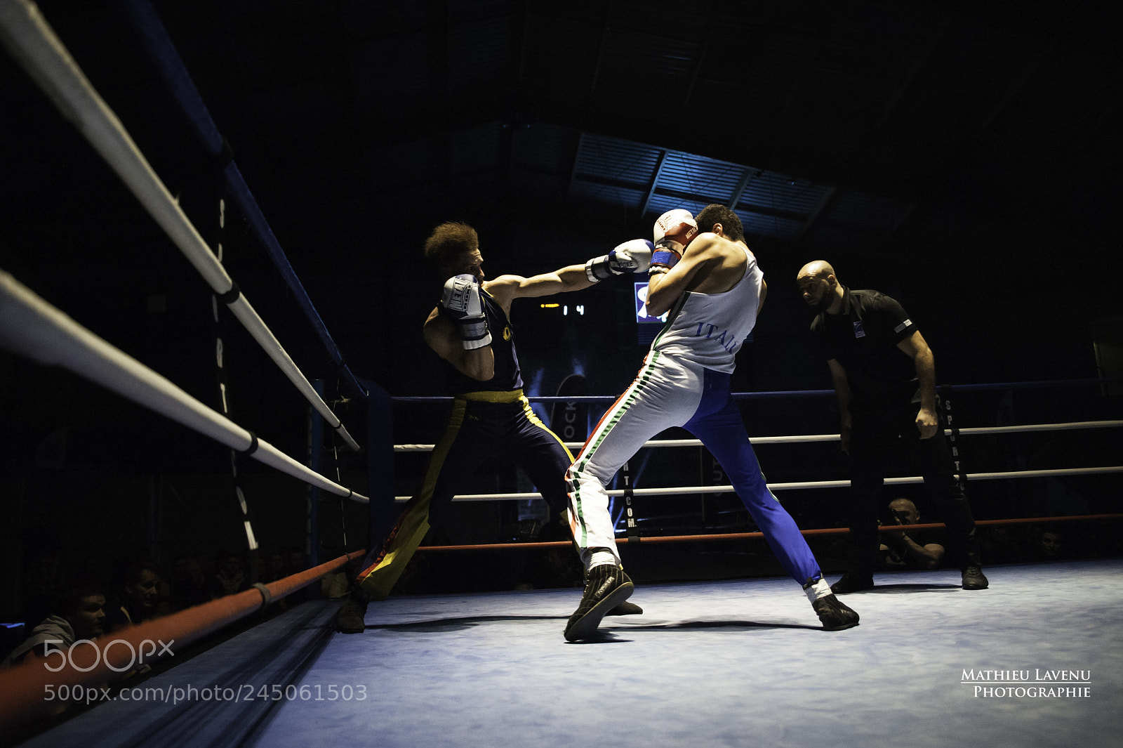 Nikon D700 sample photo. French boxing photography