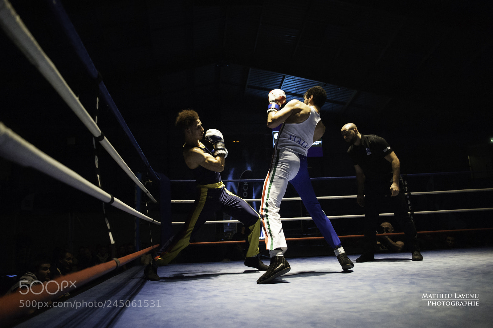 Nikon D700 sample photo. French boxing photography