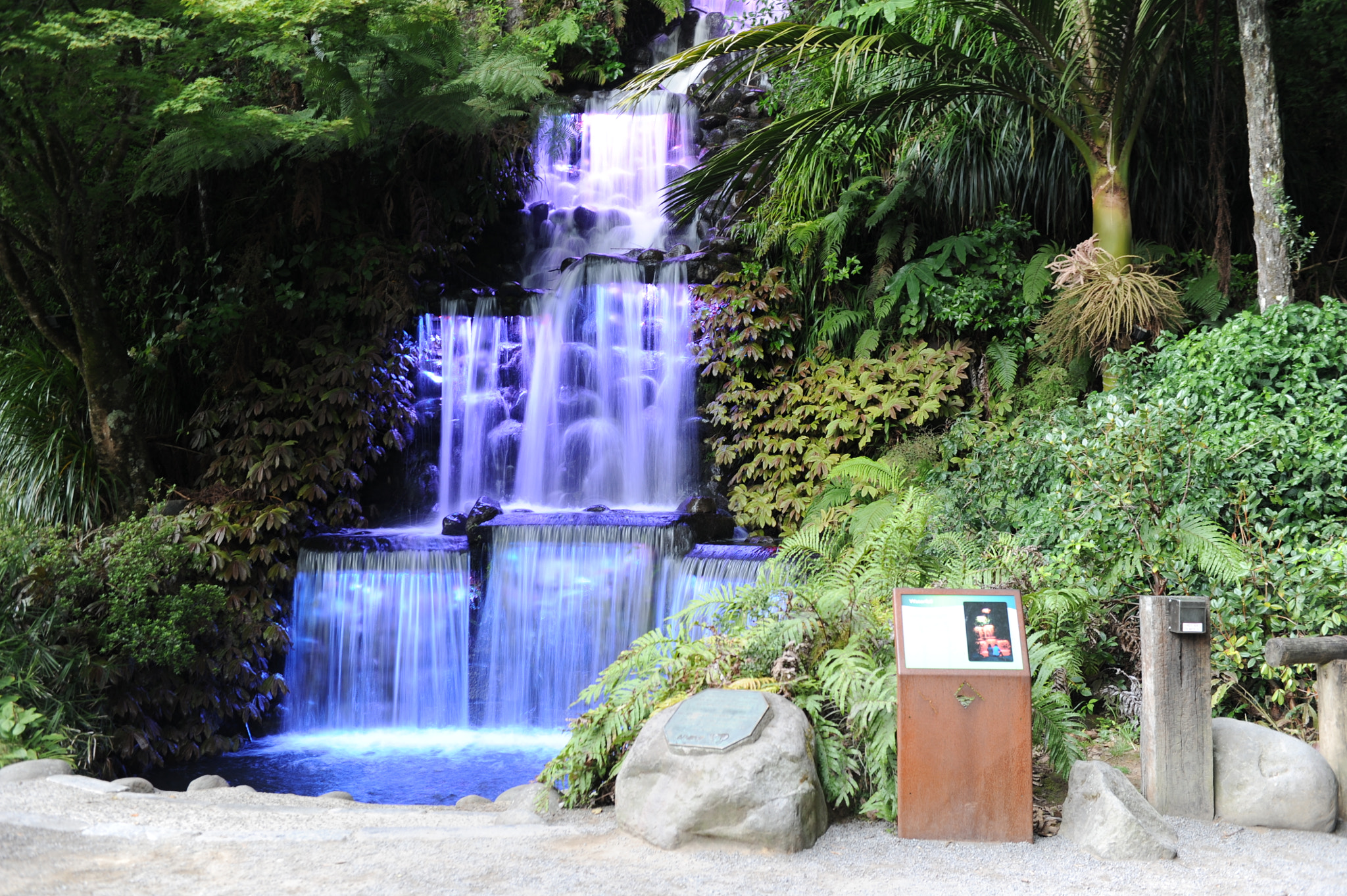 Nikon D3S sample photo