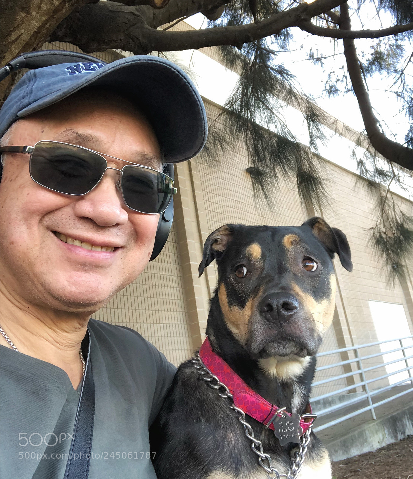 Apple iPhone X sample photo. Dogs, i wonder what photography