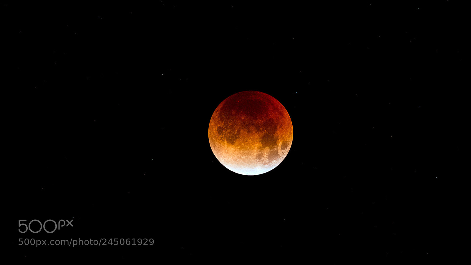 Nikon D500 sample photo. 2018-01-31 lunar eclipse photography