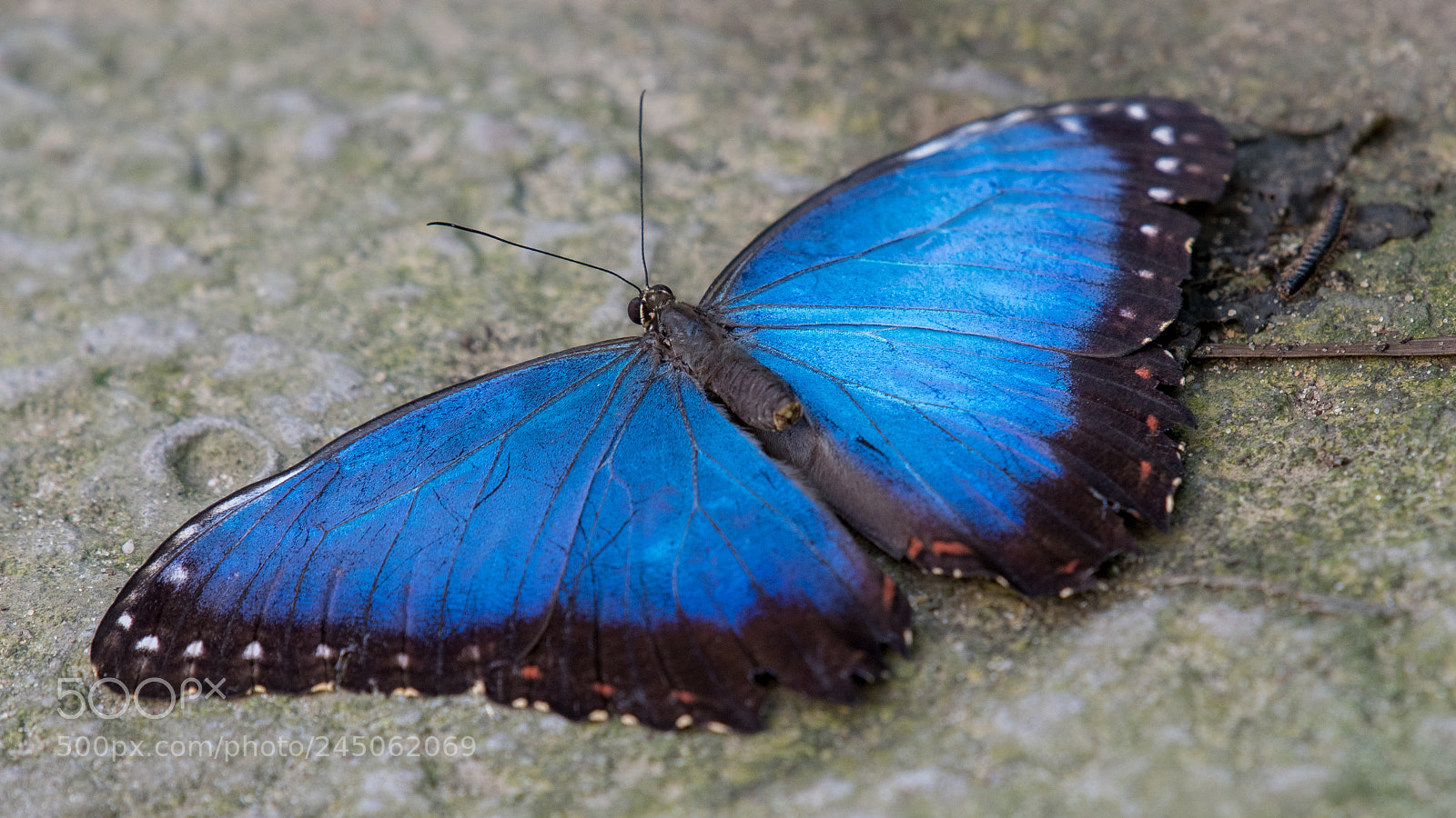 Nikon D500 sample photo. . photography