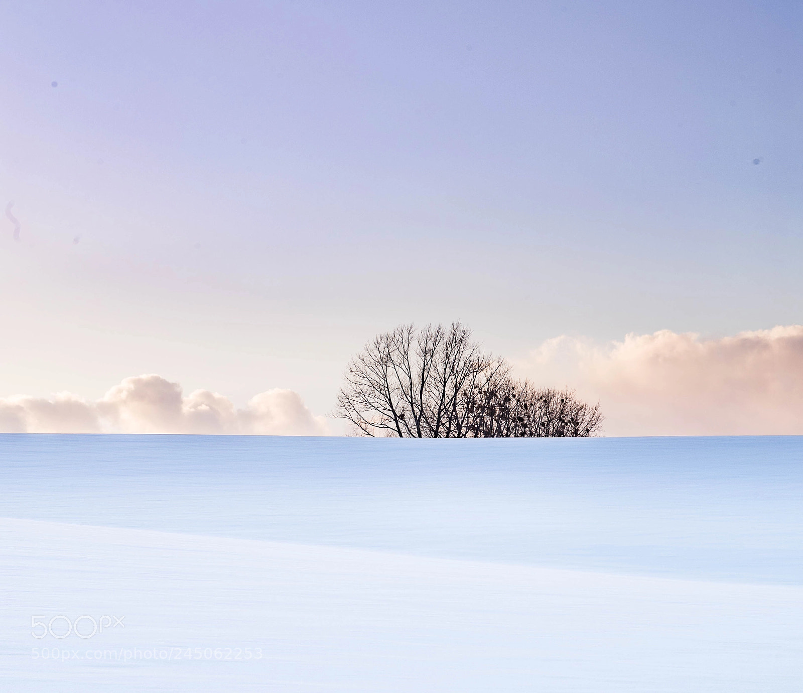 Canon EOS-1D X Mark II sample photo. Bei photography