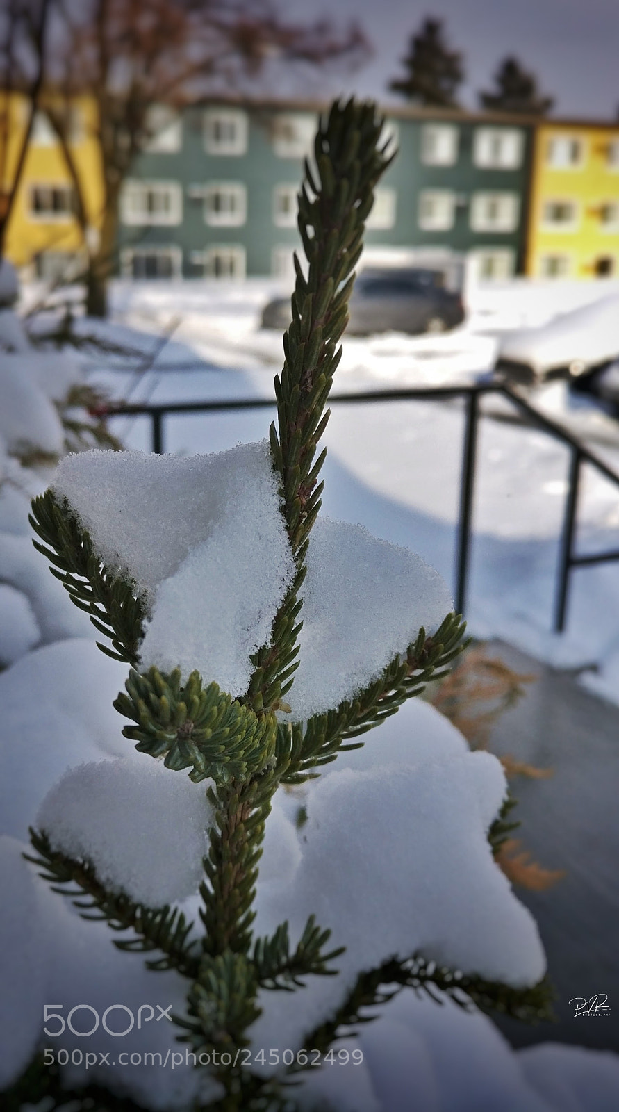 OnePlus A3003 sample photo. Snow! photography
