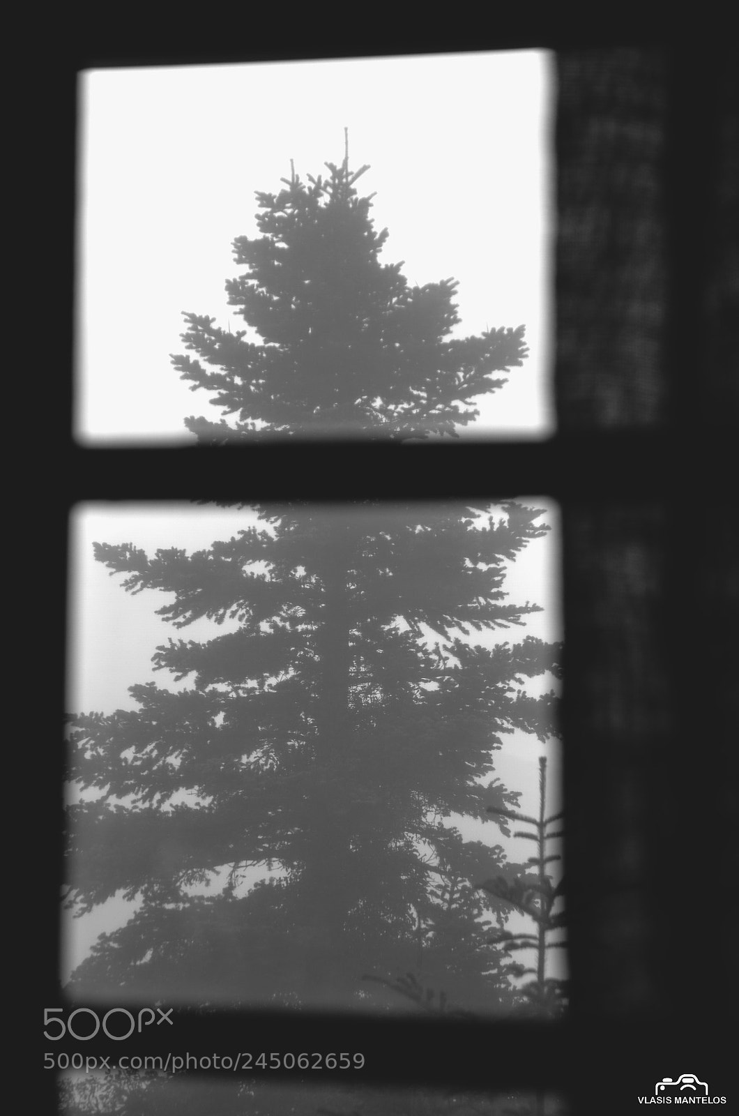 Nikon D5100 sample photo. View at the nowhere photography