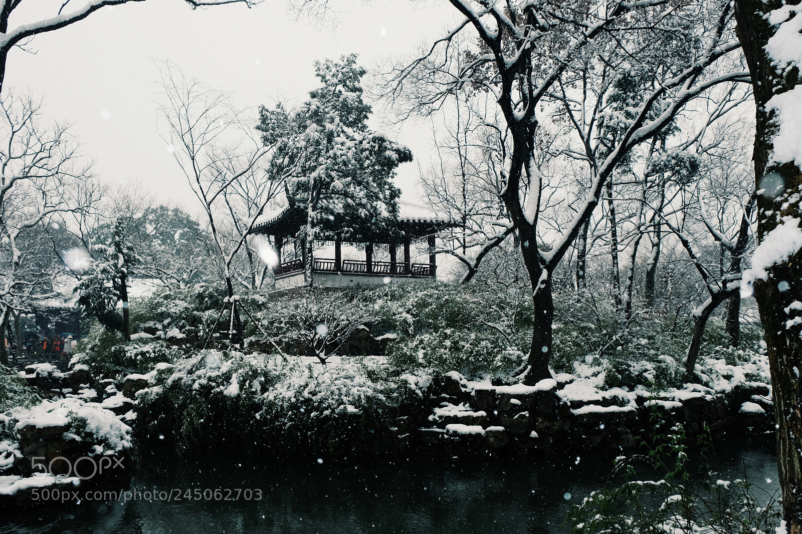 Fujifilm X-T2 sample photo. Untitled photography