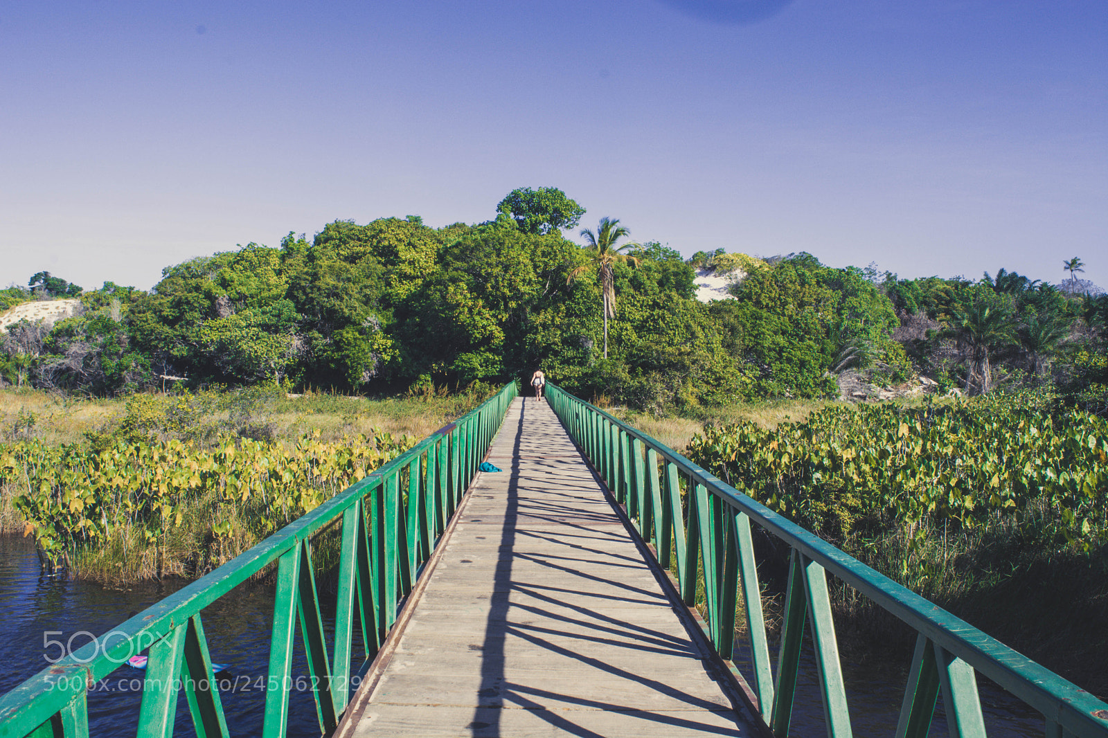 Nikon D5200 sample photo. Ponte photography
