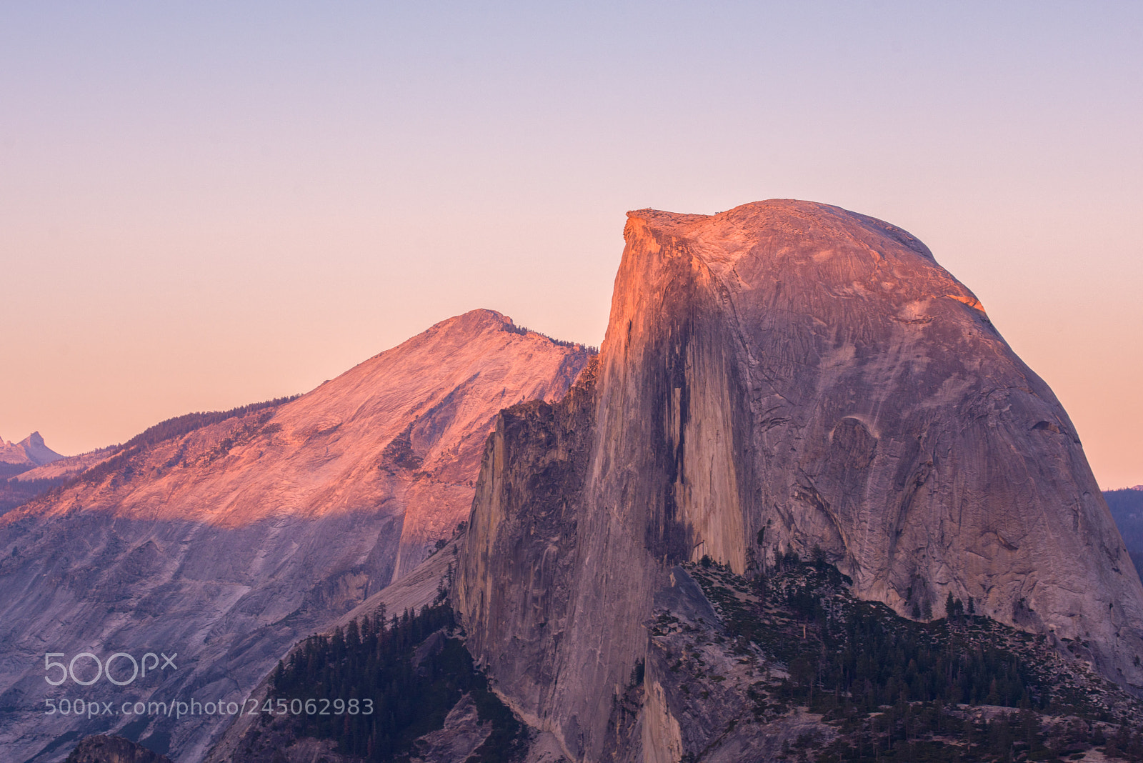 Nikon D810 sample photo. Yosemite photography