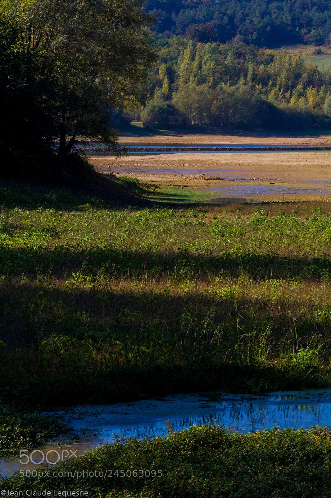 Canon EOS 60D sample photo. Autour du lac 11 photography