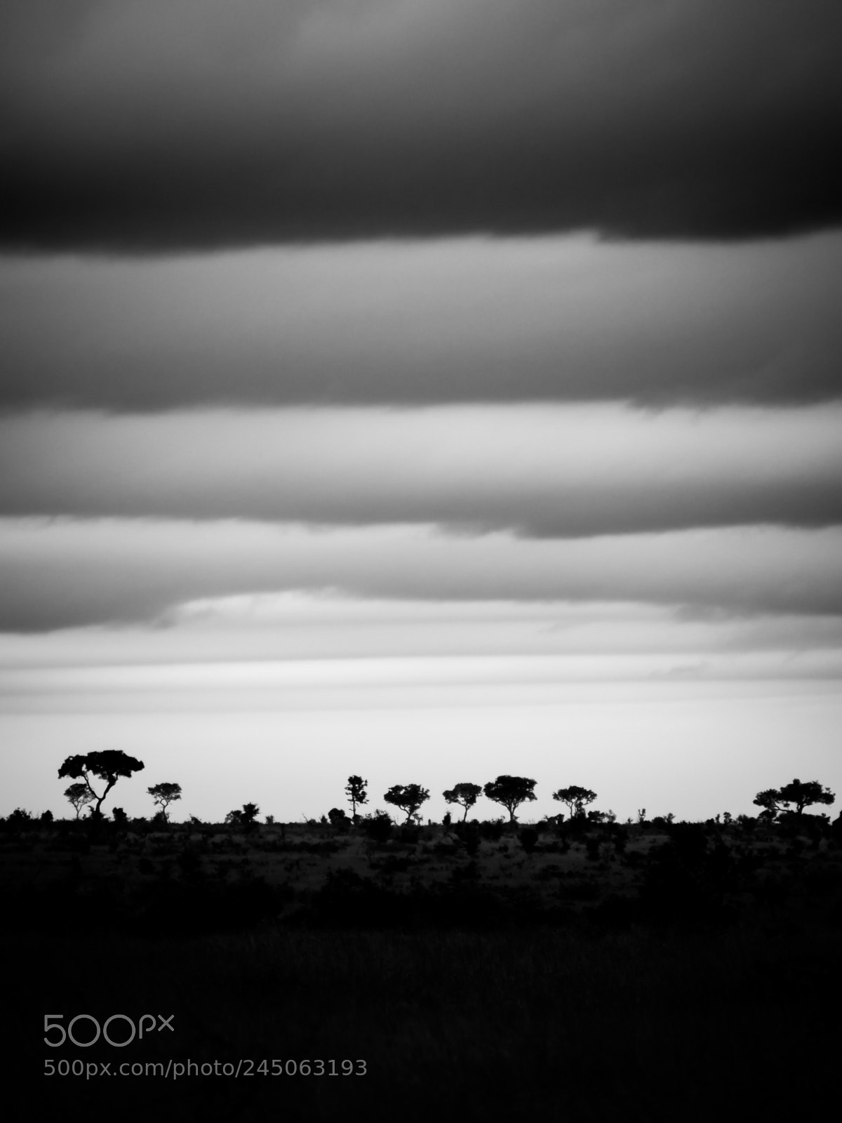 Olympus OM-D E-M5 sample photo. Shades of gray photography