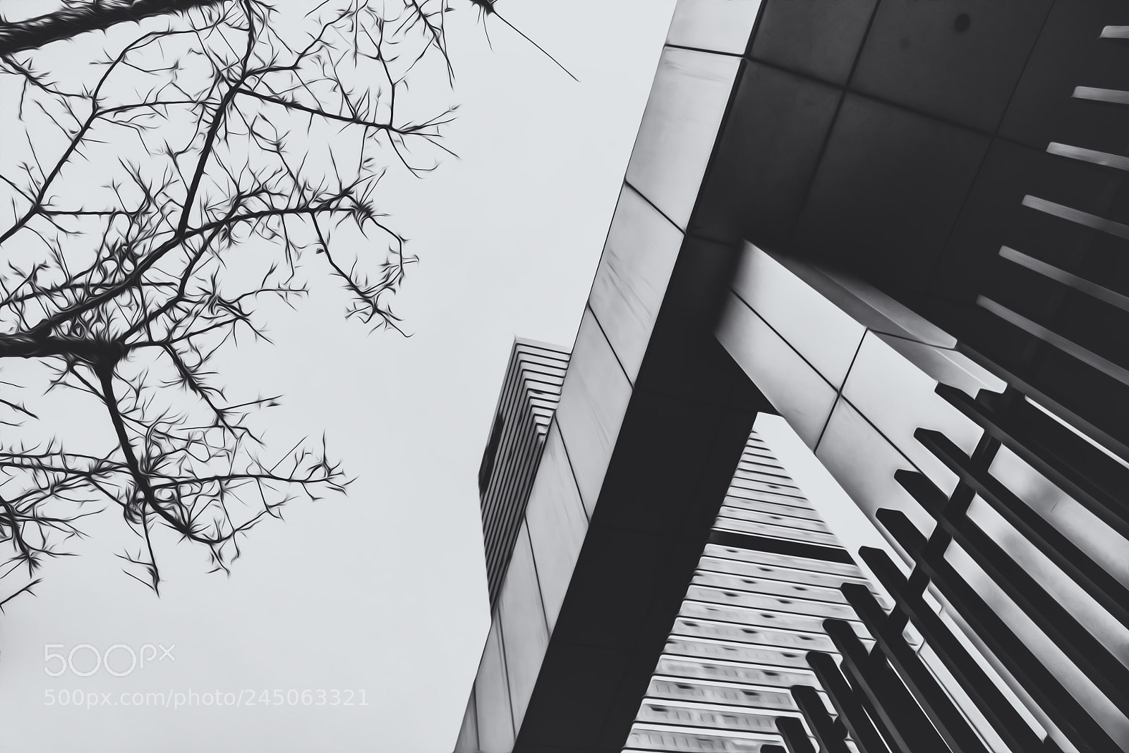 Pentax K-1 sample photo. Conflicting photography