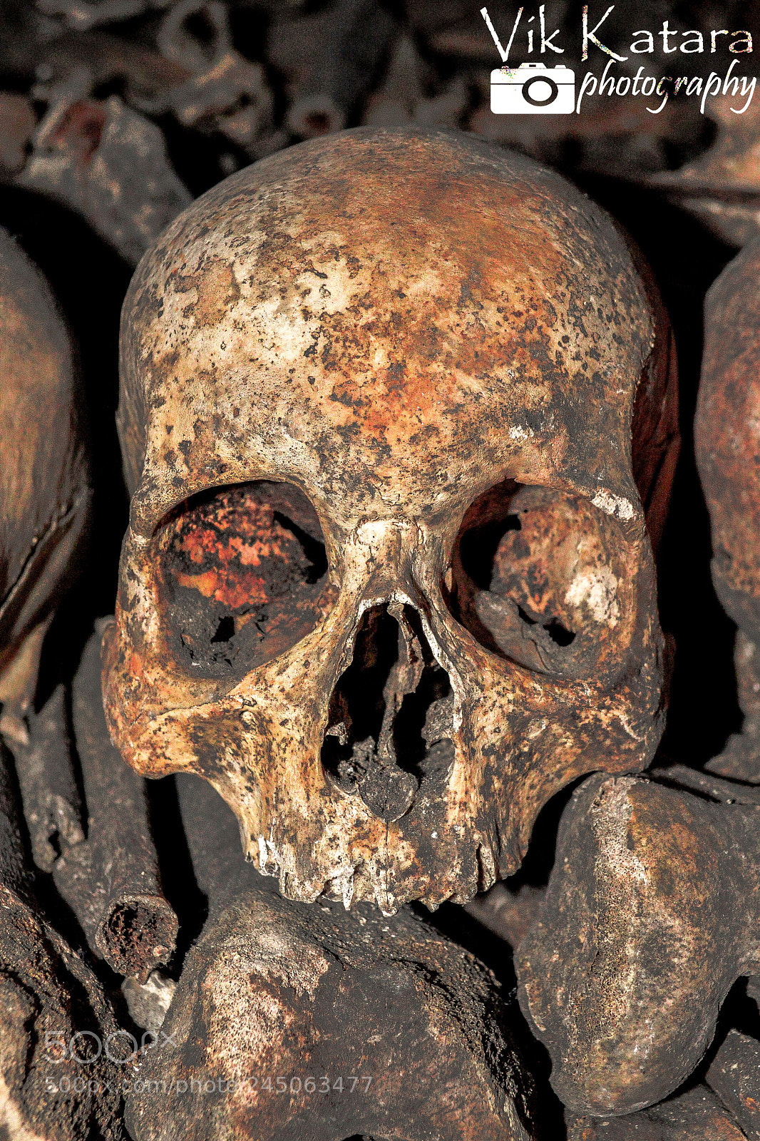 Nikon D610 sample photo. Catacombs of paris photography