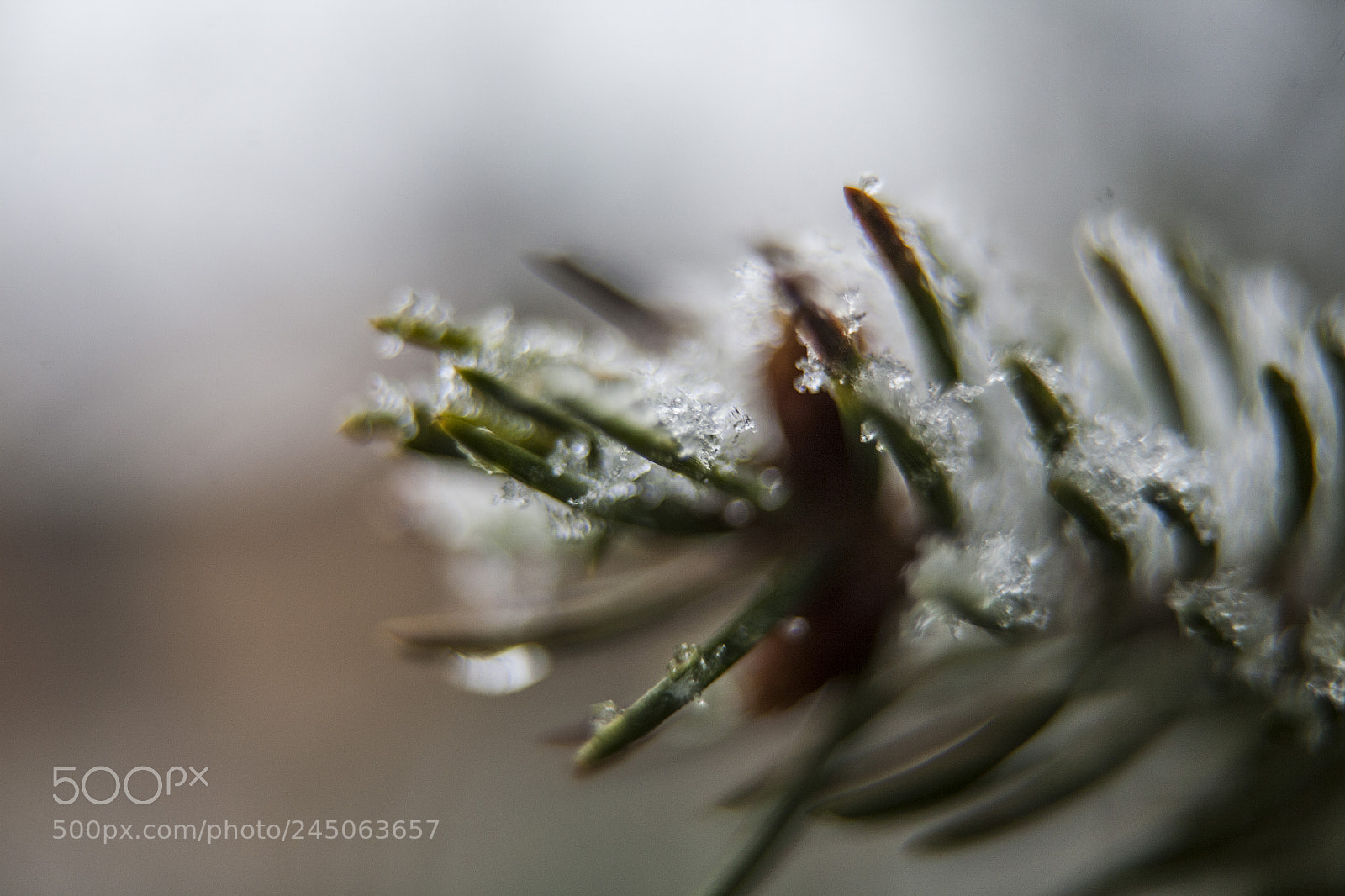 Canon EOS 5D sample photo. Tiny crystals photography