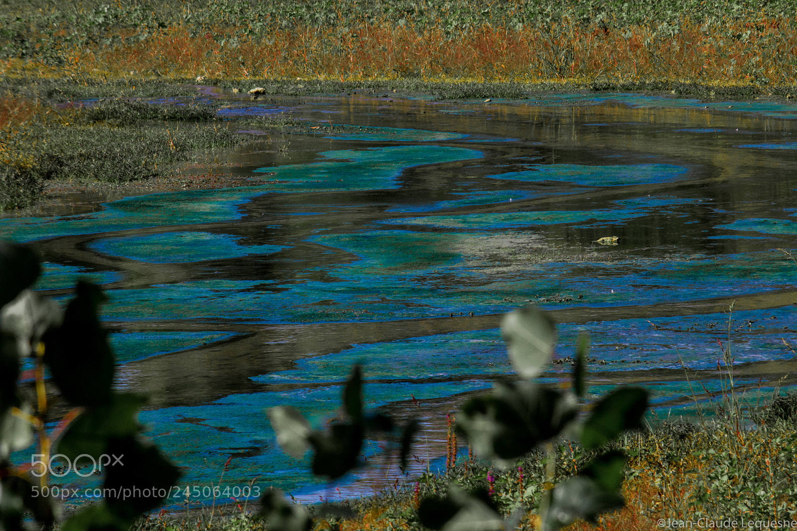 Canon EOS 60D sample photo. Autour du lac 12 photography